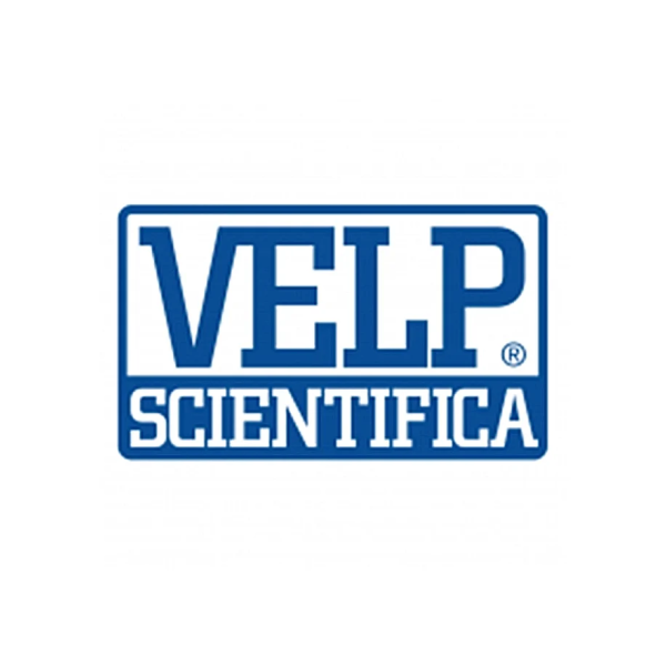 logo4